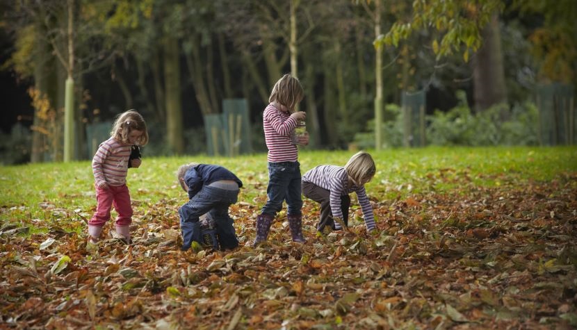 Children collecting conkers - National Trust Images Arnhel de Serra 769602